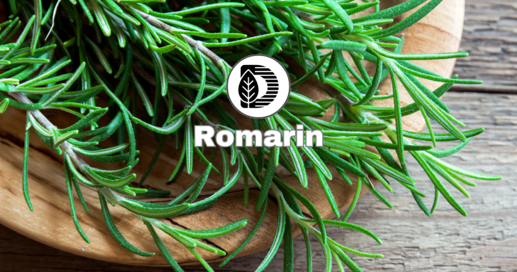 Romarin