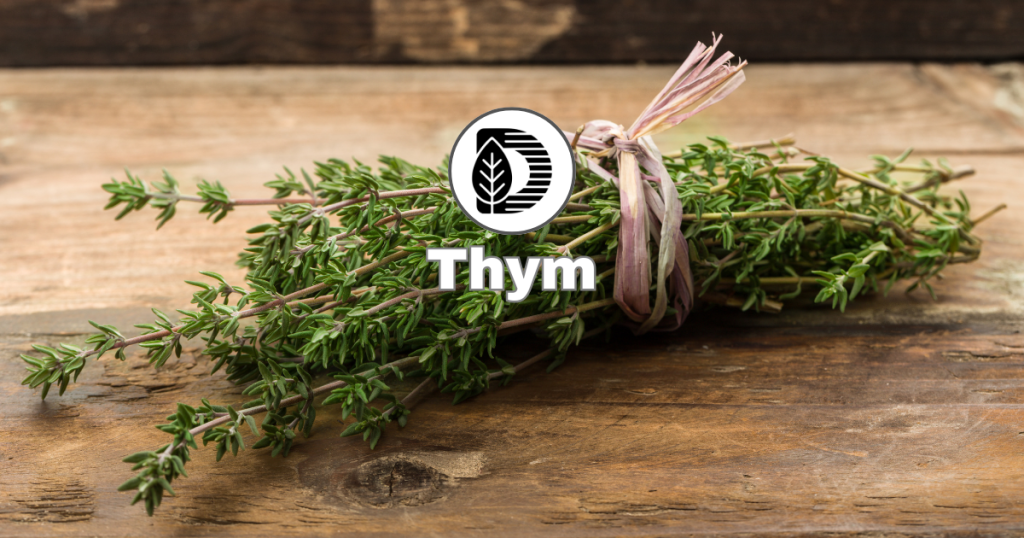 Thym
