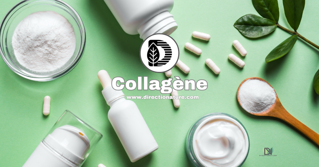 Collagène