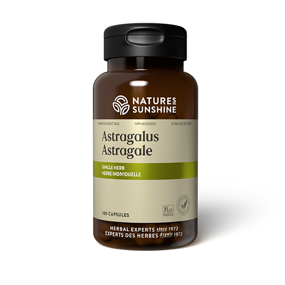 Astragale