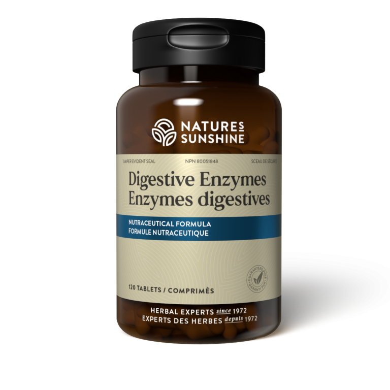 Enzymes Digestives