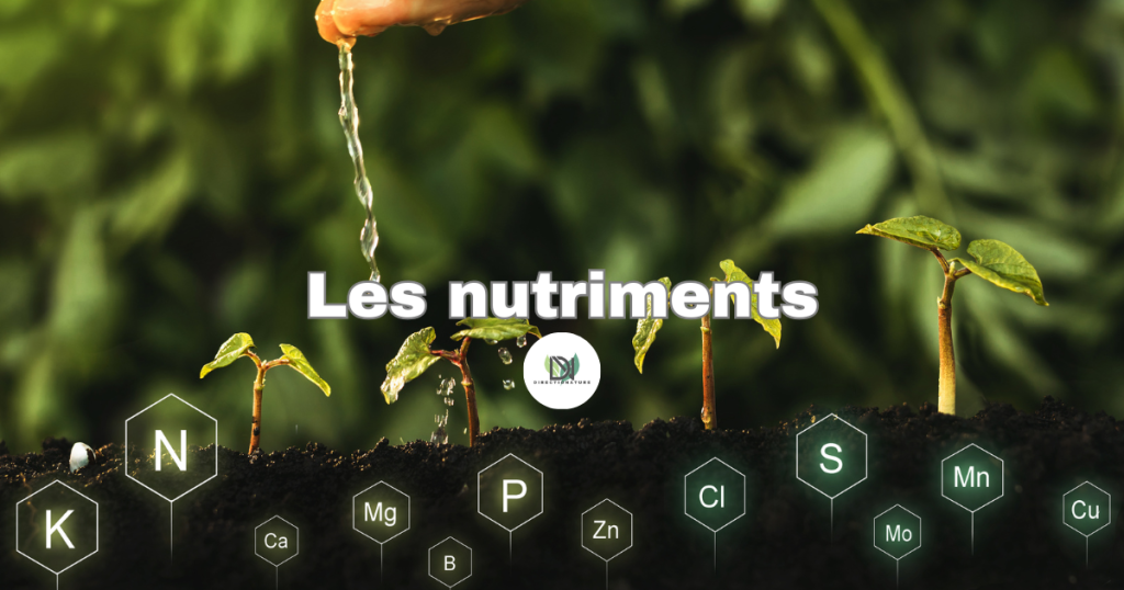 Les nutriments
