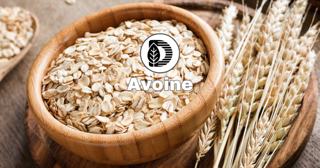Avoine