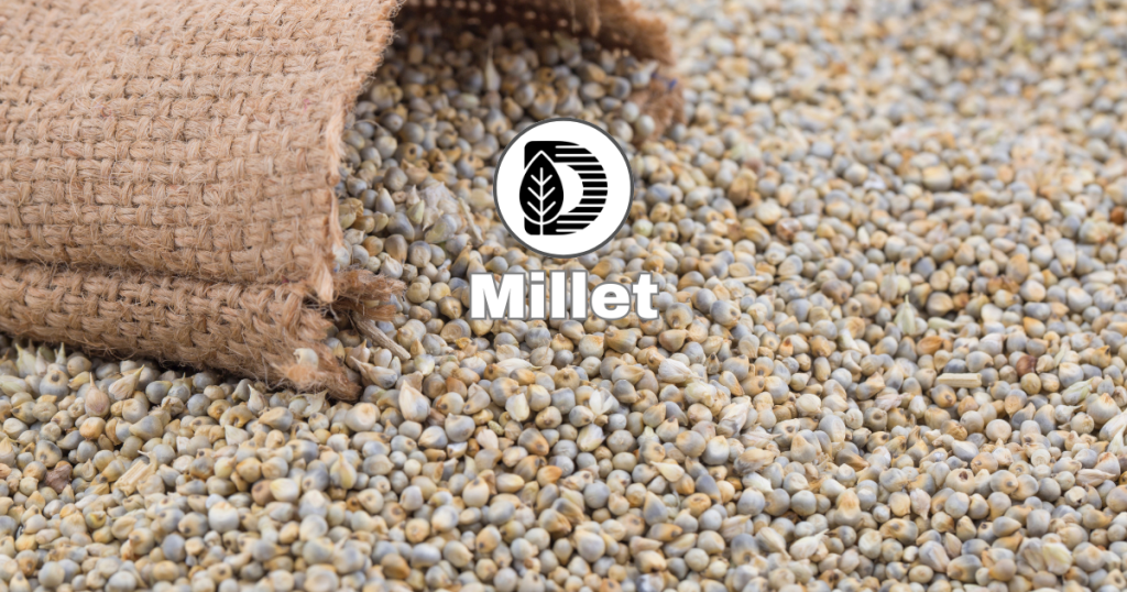 Millet