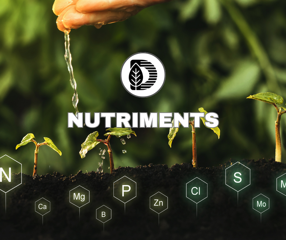 Les nutriments