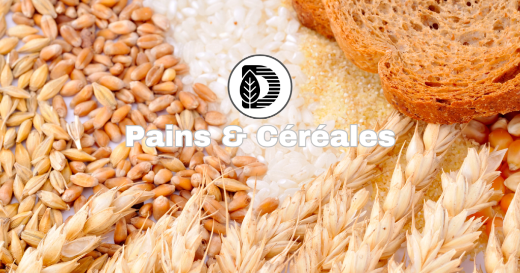 Le pain et les céréales
