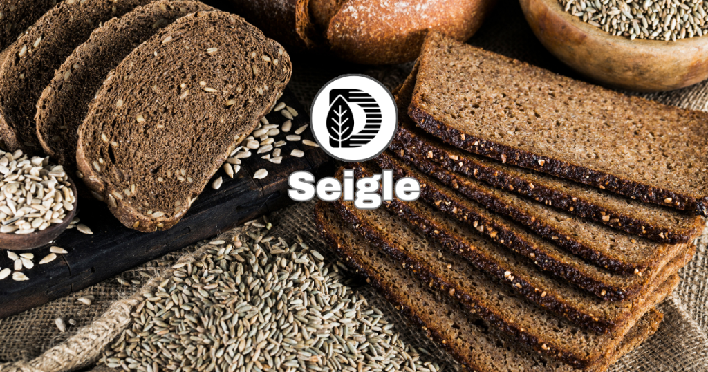 Seigle