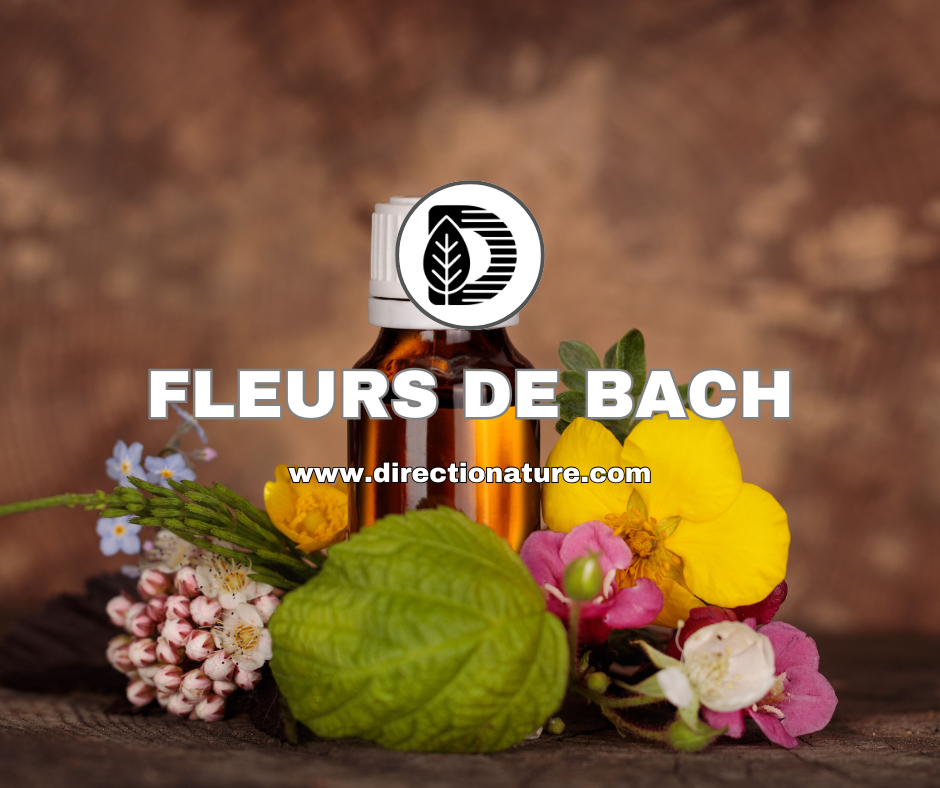 Les fleurs de Bach